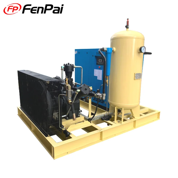 Chinese manufacturer electric belt driven air compressor for pet blow moulding machine