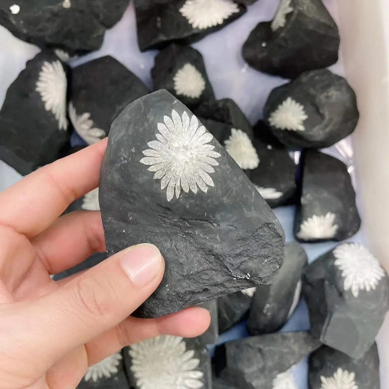 Wholesale Natural Raw stone Crystal Specimen Stone Rough Chrysanthemum Stone For Decoration