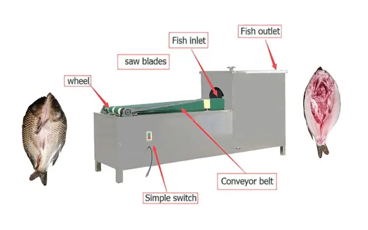 Electric Filleting Killing Small Cutting Fish Back Splitting Machine 