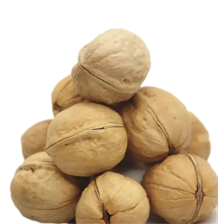Walnuts Current New Crop In shell best choice Nut, Number one quality - Packed in a 5 lbs. (80 oz.) Bag/Box