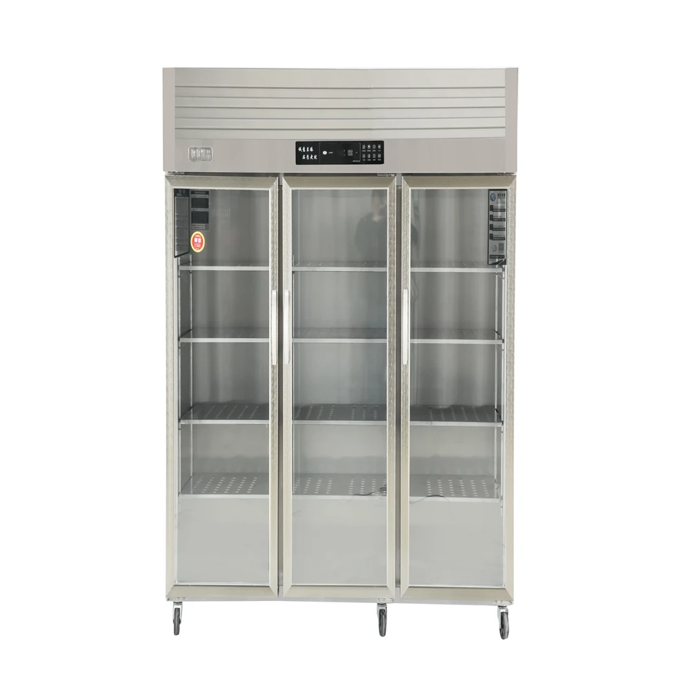 Fashionable Hot Pick Frost-Free Commercial Use Three Doors Mobile Refrigerated Freezer