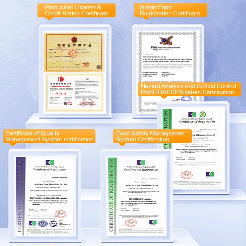 Premium Carnaval Pet Food Adult Cat Cans with Lamb 400 gr (12 Pcs) Wholesale Canned Pet Food