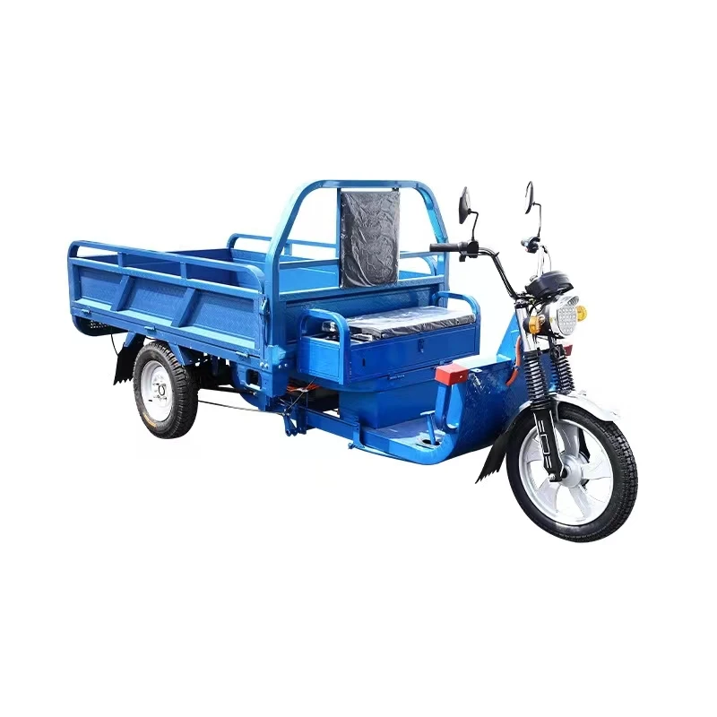 Hot Sale Cheap e-trikes 3 wheel cargo electric tricycles motorcycle adult Electric Tricycle Mobility Scooter 48V 600W motor