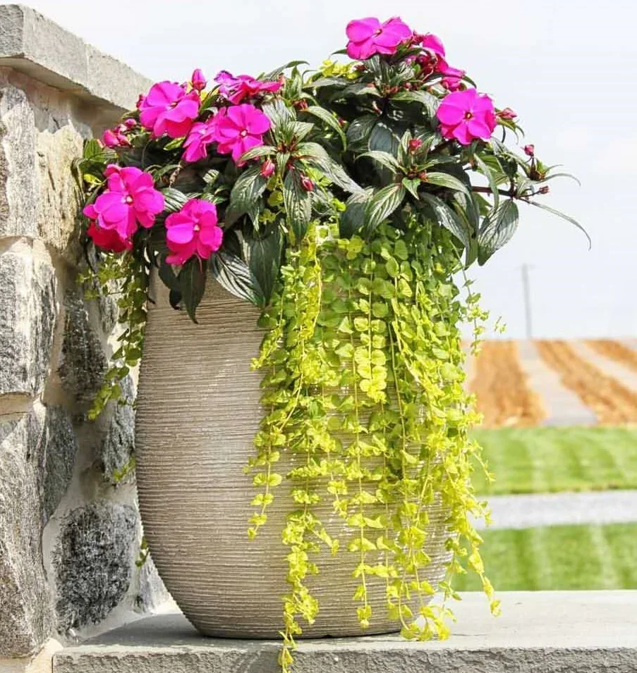 Textured Round FIBERSTONE Pot  for yard or hotel use