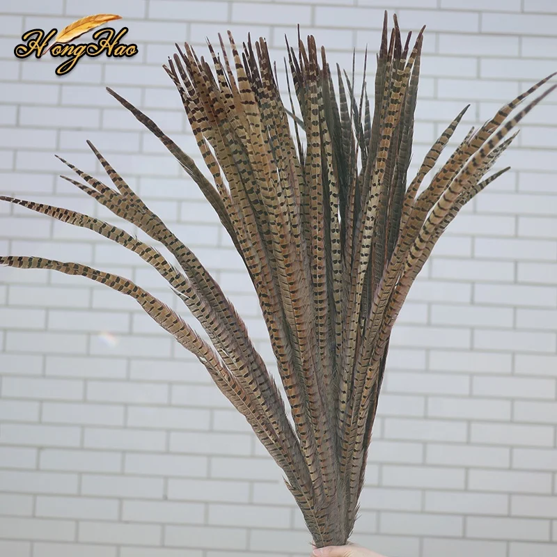 Hot sale 10-50 cm Quality Feathers Natural Dyed Ringneck Pheasant Tail Feather Plumas Carnival Festival Decoration