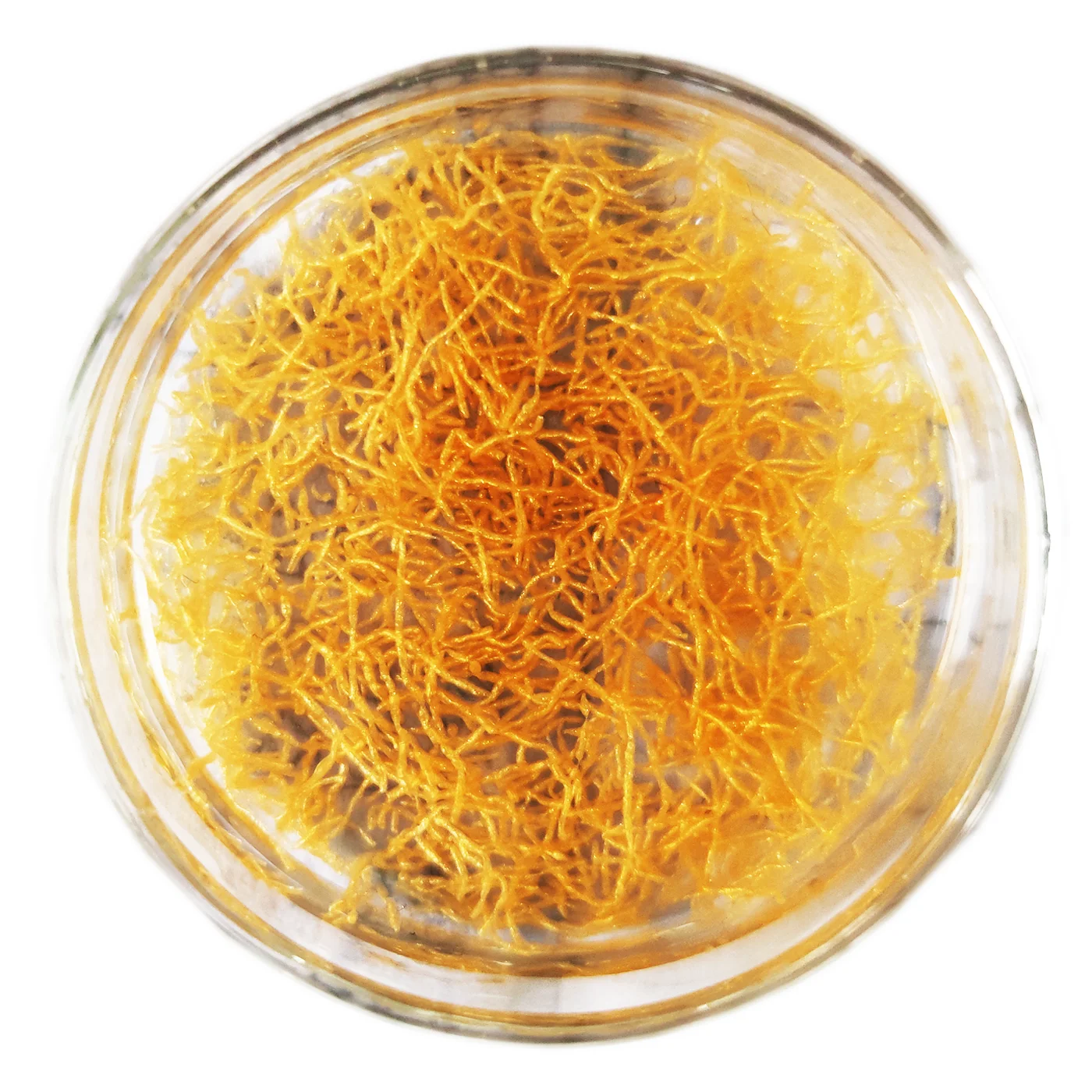 Softsilk ЗОЛОТО