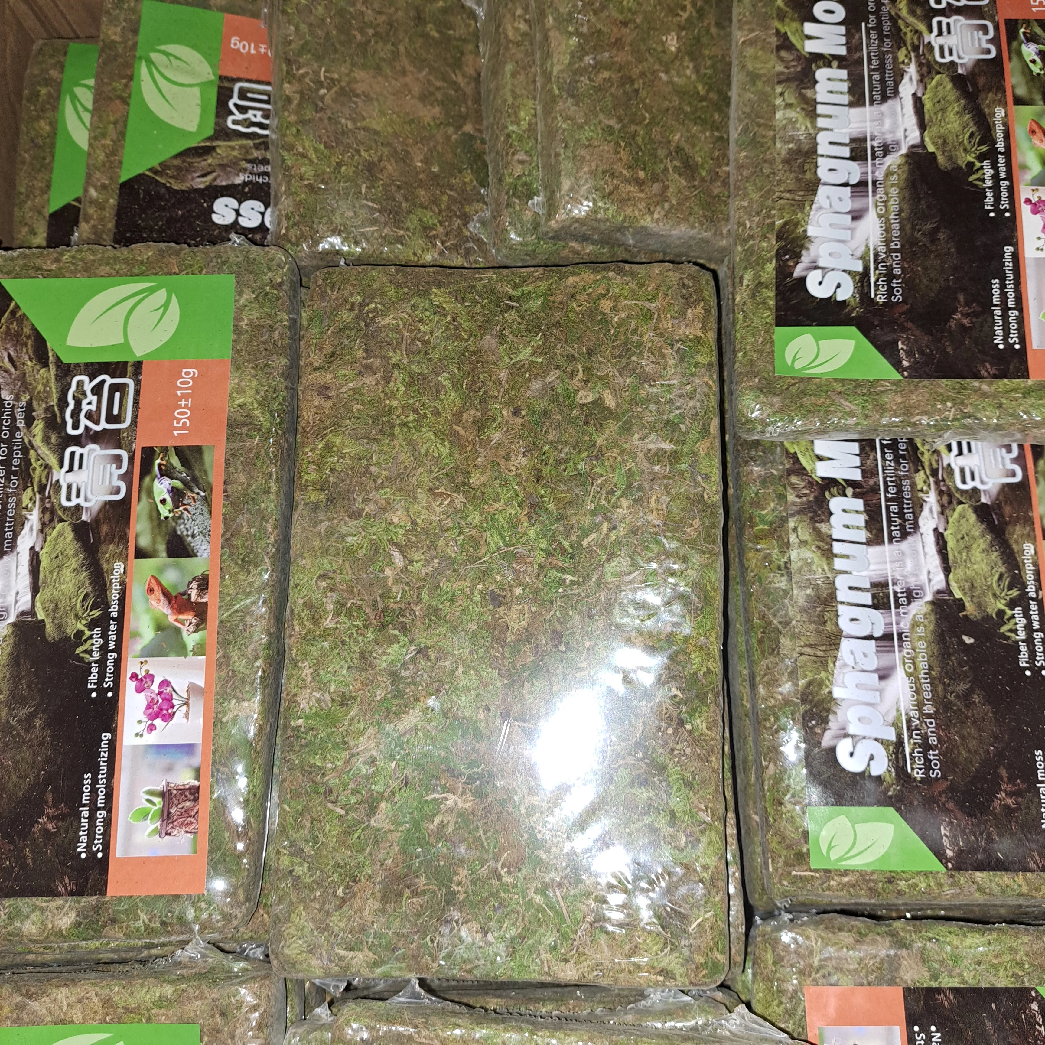 150grams Natural Dried Green Sphagnum Moss for Plants Orchid Repoting Carnivorous Flowers Crafts Terrarium and Reptiles