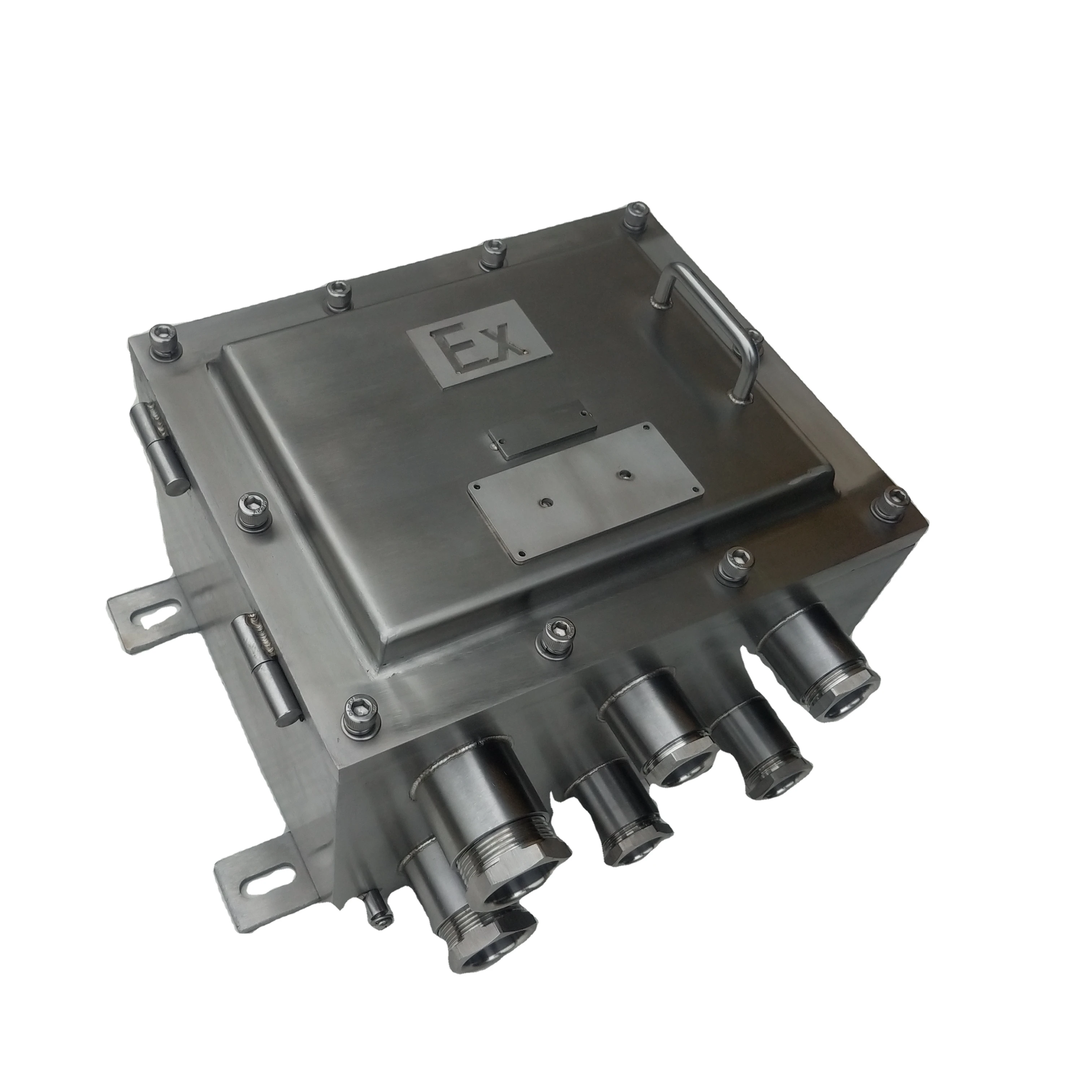 OEM Electronic Project Explosion Proof Enclosures