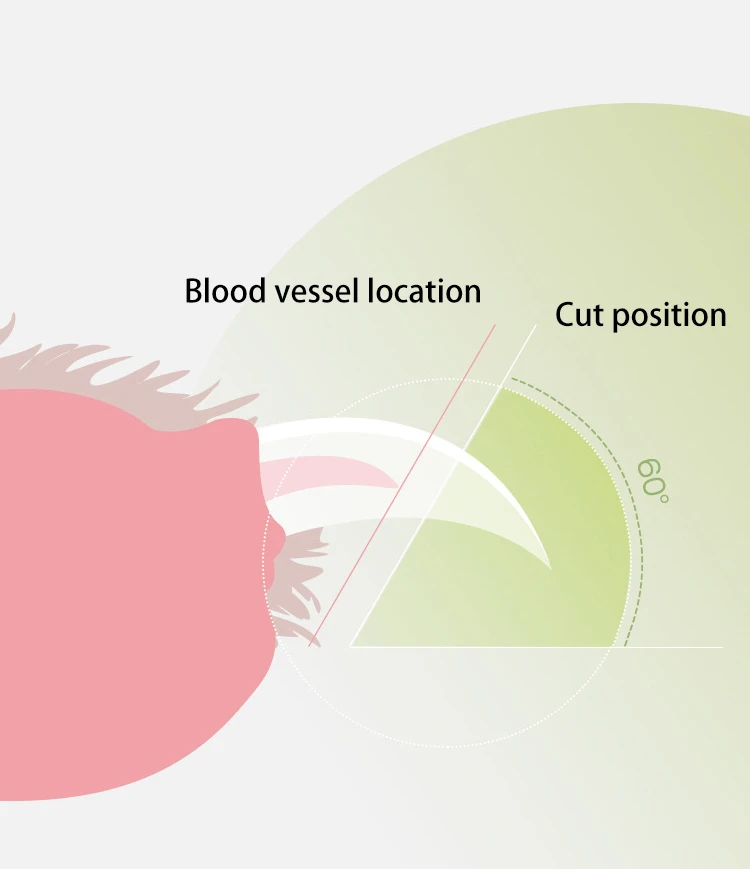 Pet Grooming Supplies Trimmer Pet Safety Claw Nail Scissors Cutter Dogs Cats Pet Nail Clippers