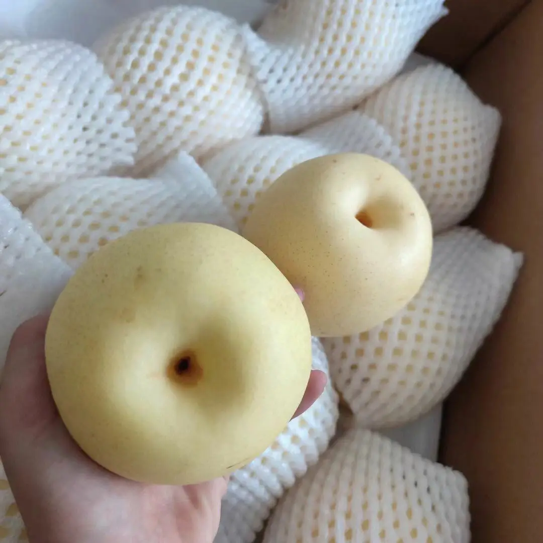 Китай фрукты свежие груши новый урожай Корона груша