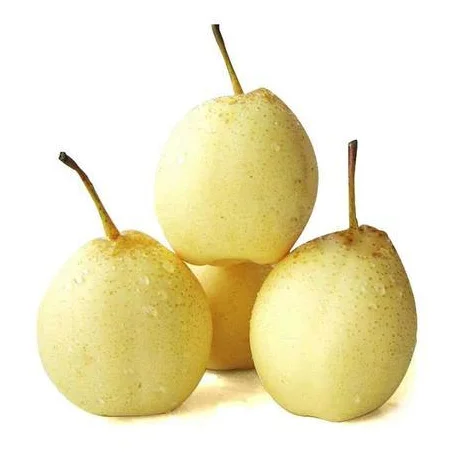 2021 высокое качество, лидер продаж, свежая китайская груша, желтая и сладкая груша