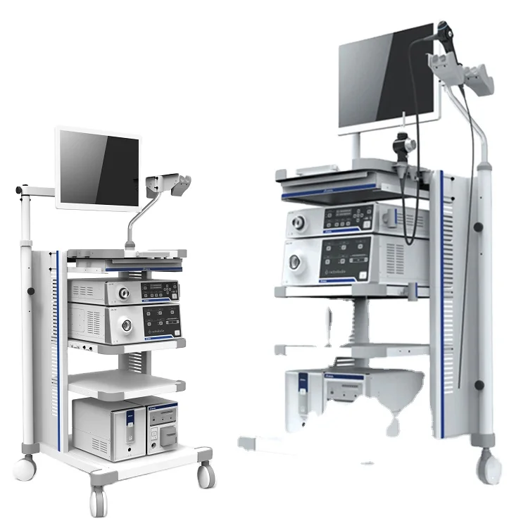 Electronic Colonoscope Video Stomach Vet Ent Camera Medical Endoscope System Endoscopy with Factory Price