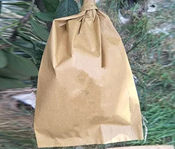 waterproof fruit cover bag mango growing paper bag