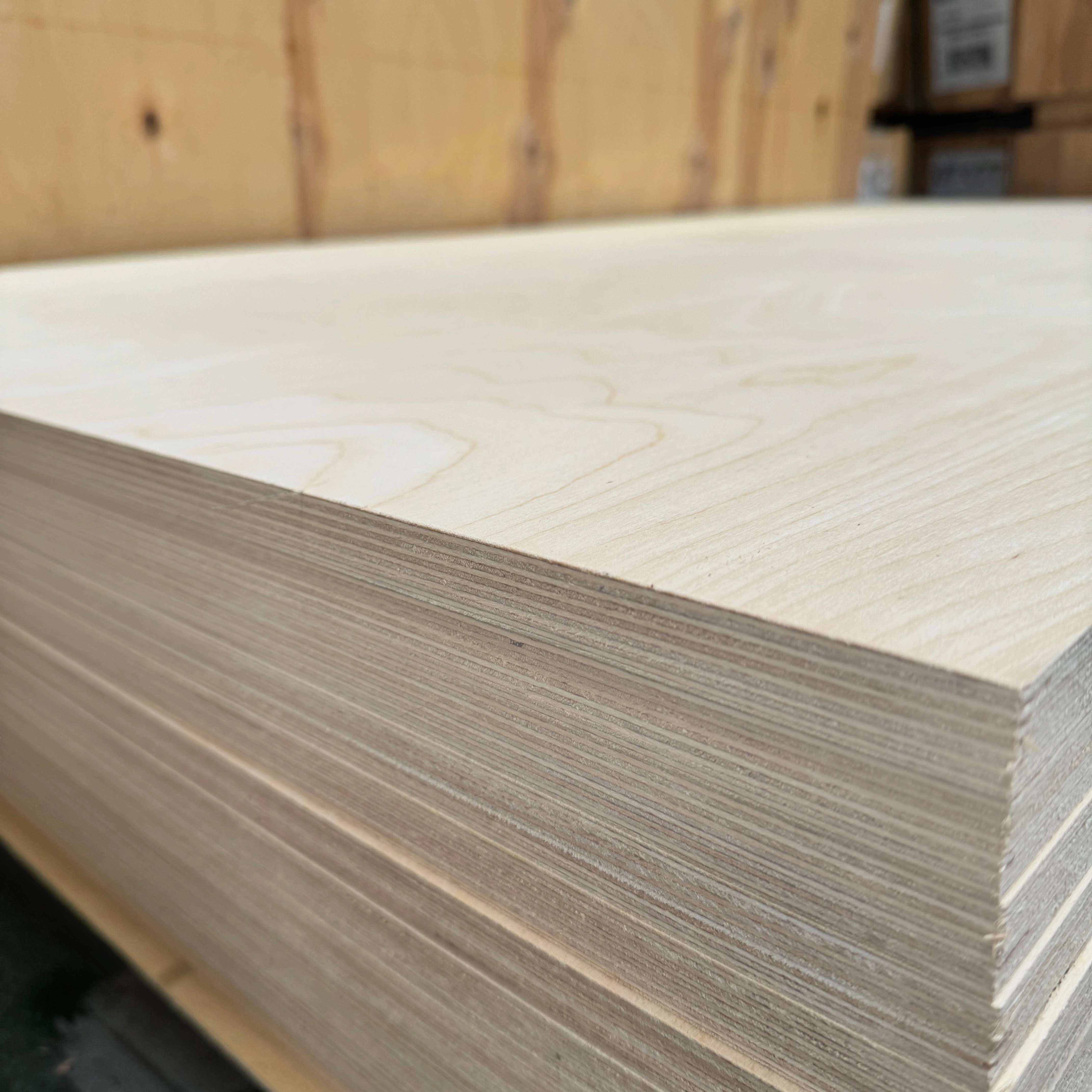 Factory Full Birch Core Baltic Birch Filmfaced Plywood E0 Birch Wood Veneer Furniture Plywood 6mm 18mm 25mm for Indoors Work