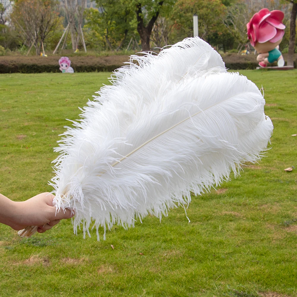 Wholesale Wedding Decoration Supplies 15-70cm Colored Feather Craft Plumas Natural White Large Ostrich Feather