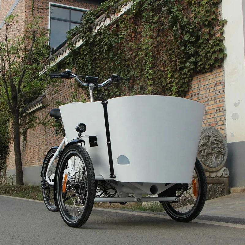 New Design Velomobile Trike Electric Cargo Bike Electric Driving Type
