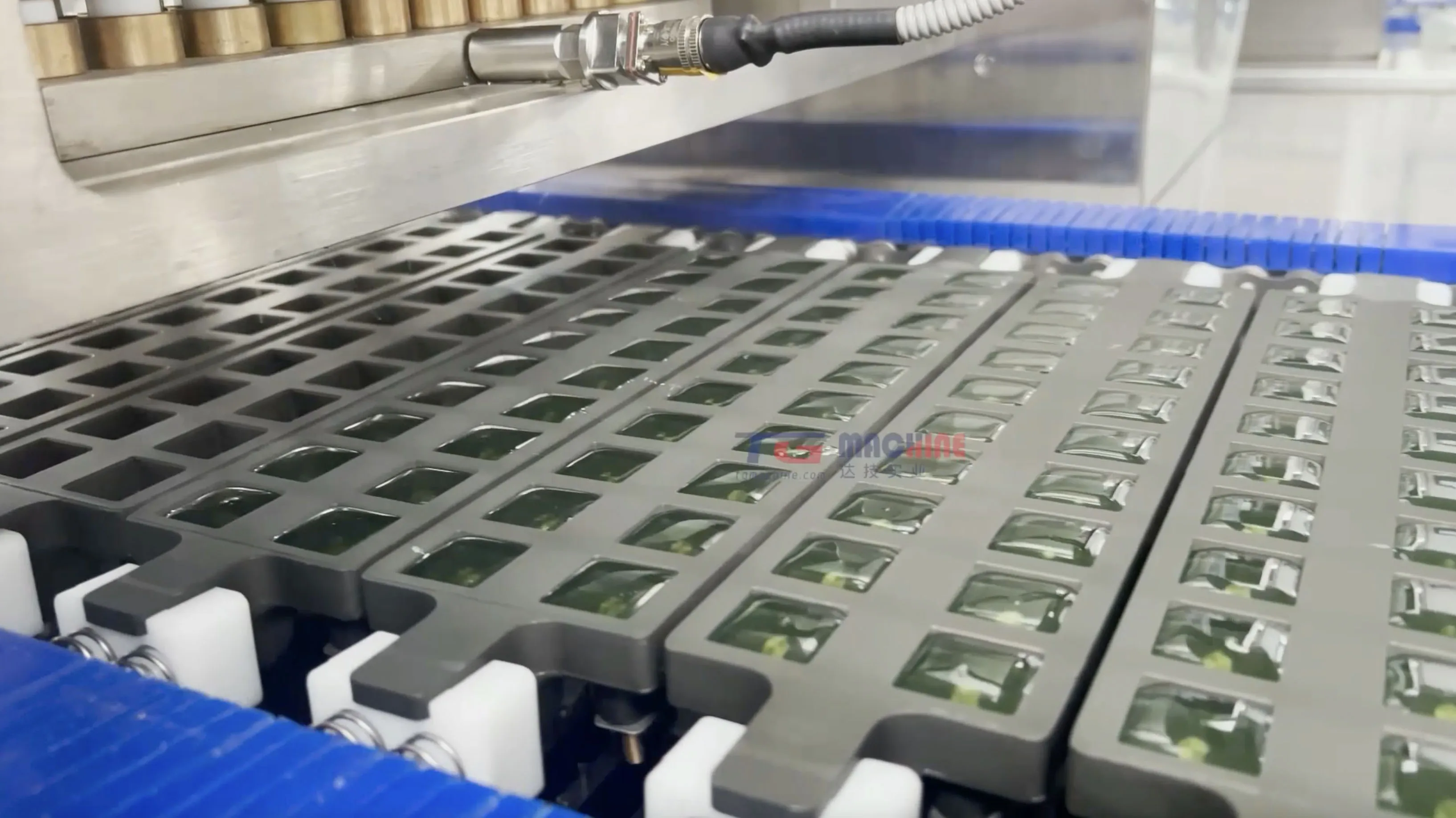 TG Brand customized non-sticky candy mould gummy candy mould hard and soft candy mould