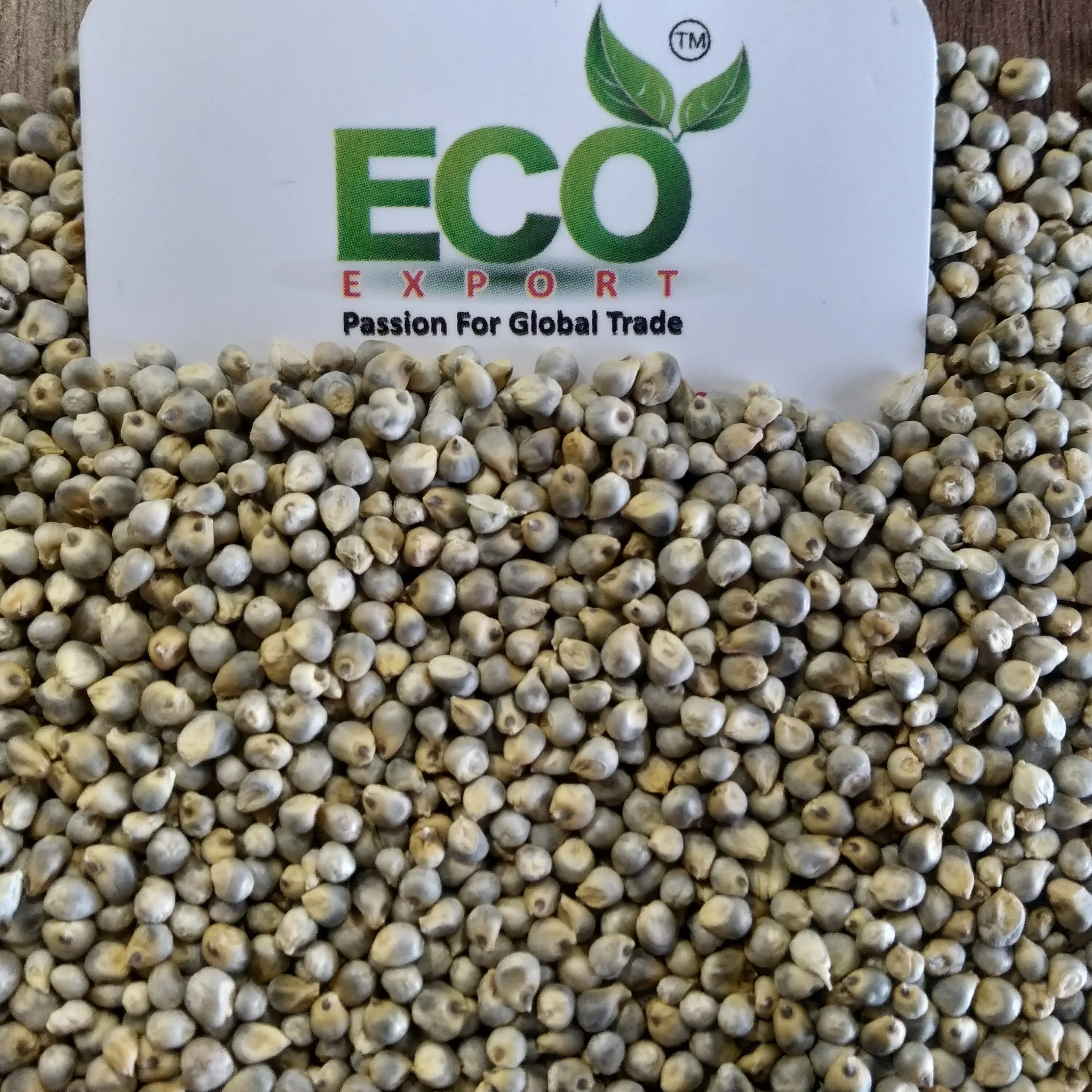 Indian Green Millet Seeds