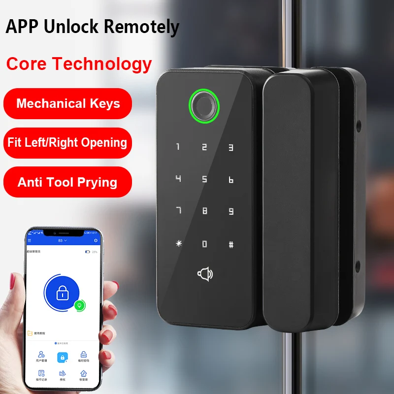 Safety Rim Keyless Wifi Biometric Fingerprint Face Recognition Office Electric Motorized Door Lock