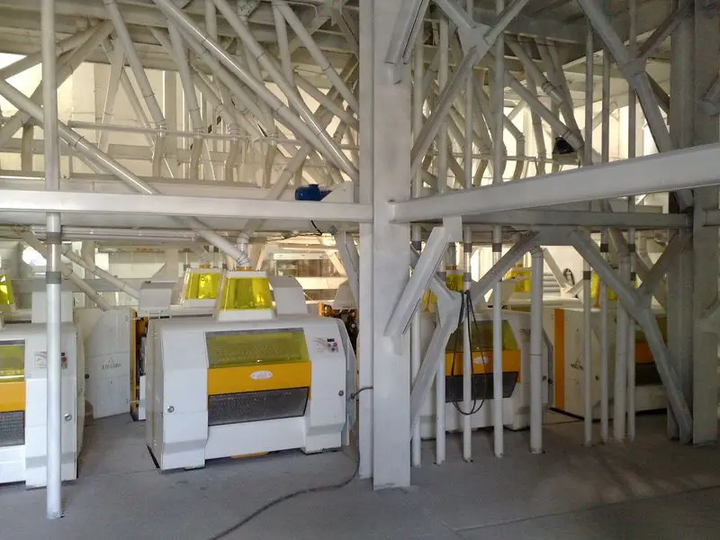 Kazakhstan Wholesale Natural Organic First Grade Baking White Wheat Flour ELITE 50 Kg Bag Bulk Flour