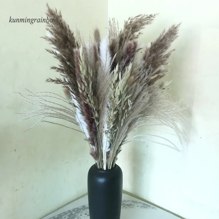 Home Wedding Decorative Bouquet Real Dried Reed Bunny Tail Pampas White Color Dried Natural Small Big Large Pampas Grass