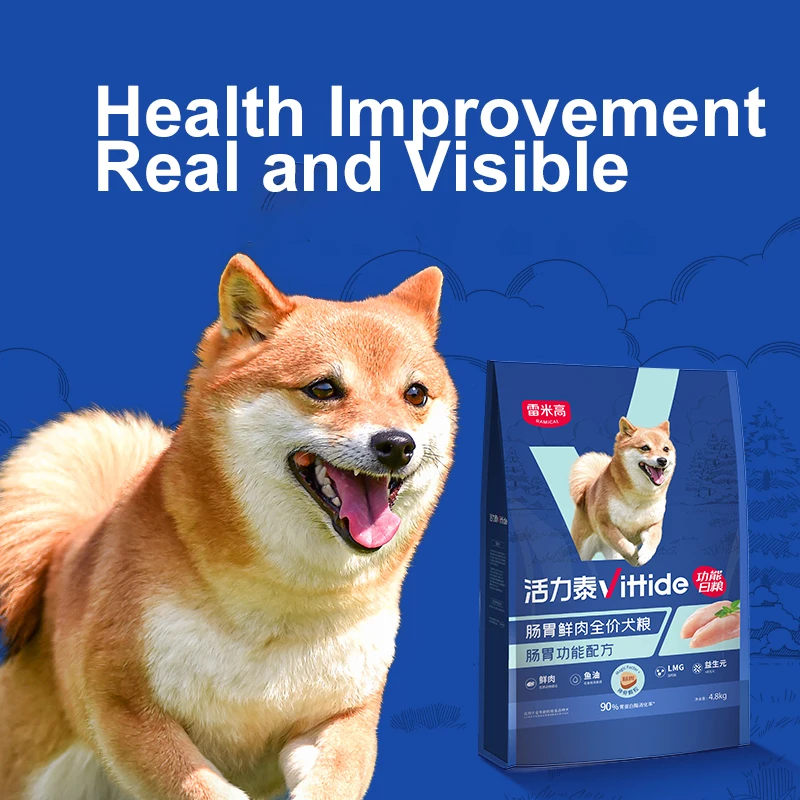 Vittide OEM/ODM Pet Food Gastrointestinal Fresh Meat Complete 4.8kg Grain Shapes Dry Food For Dog