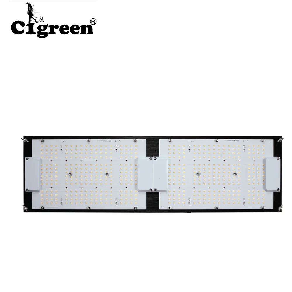  Новейшая светодиодная осветительная панель cigreenlight 630 Вт униформа PPFD cigreenBeast Pro для гидропонного выращивания