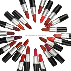 Low Moq No Logo Private Label Bullet Shape Tube Makeup Waterproof Matte Long Lasting Lipstick