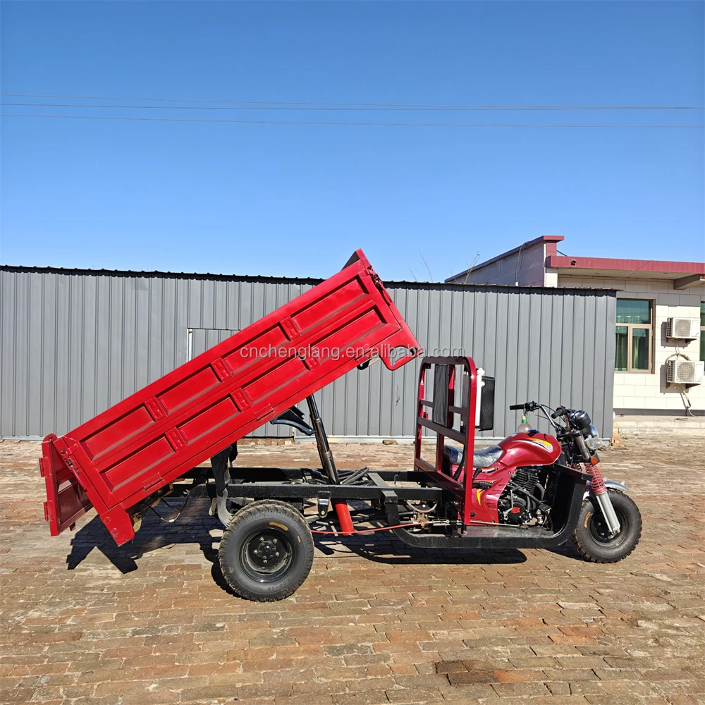 New Style 5 Wheel 300cc Cargo Passengers Closed Fuel Gasoline Moto Motorise Powerful Motorcycle Tricycle