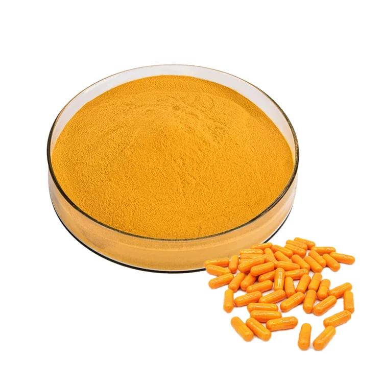 Top Quality Turmeric Root Extract 98% Curcumin Powder