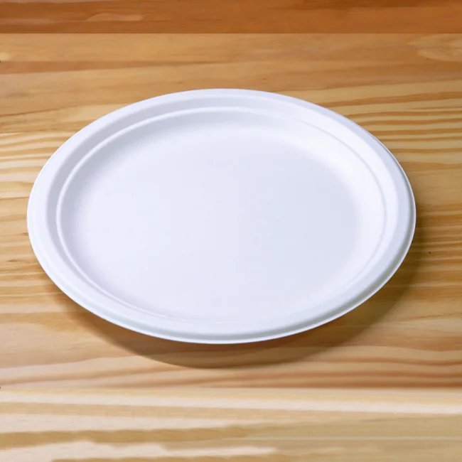 Compostable Bagasse Disposable Dishes Food Grade Sugarcane Party Disposable Dish Sugarcane Pulp 10 Inch Dish