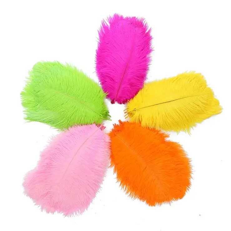 RT148 Bleached Dyed olored Decoration Ostrich Feathers