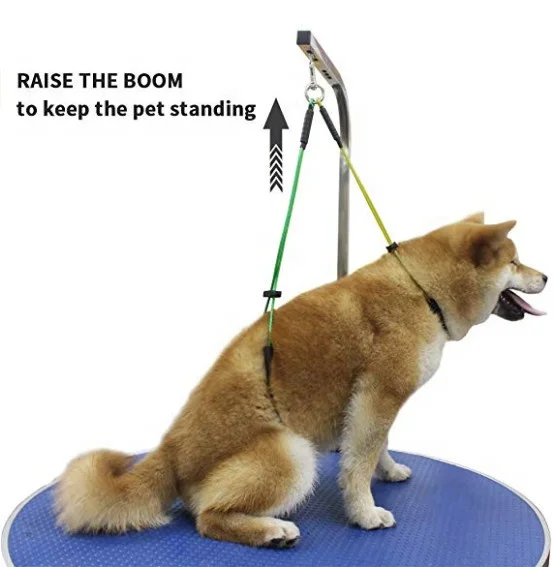 No Sit Haunch Holder Pet Grooming Loop Noose Stainless Steel Wire Rope Restraint Noose Grooming Tables arm Bath Dog