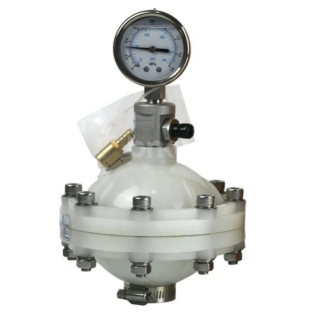PVDF Diaphragm Type Pulsation Damper for dosing metering pump Diaphragm pulse damper