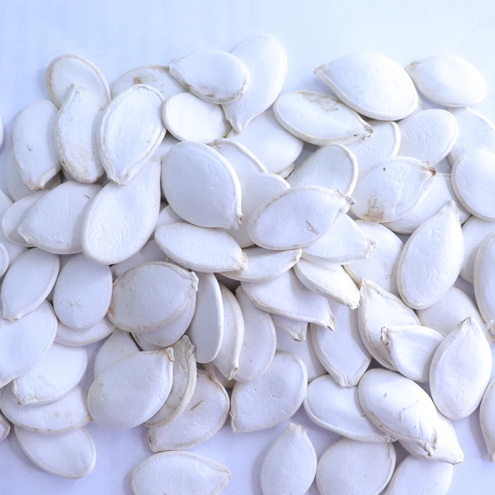 Chinese Raw Snow White pumpkin seeds price pumpkin seeds kernal 25kg pumpkin seeds