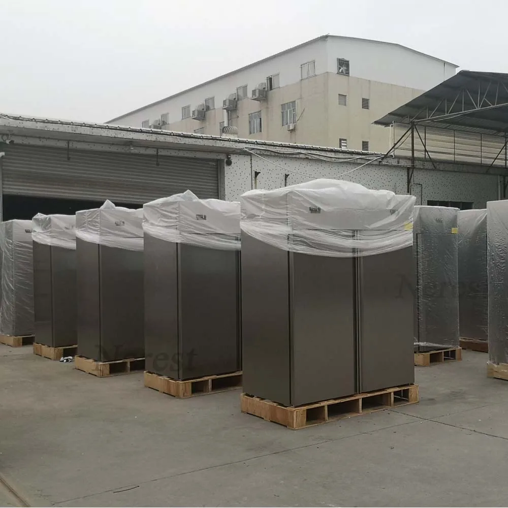 Professional Manufacturer Commercial Refrigeration Equipment Kitchen Refrigerated Freezer Stainless Steel Fridge Refrigerators