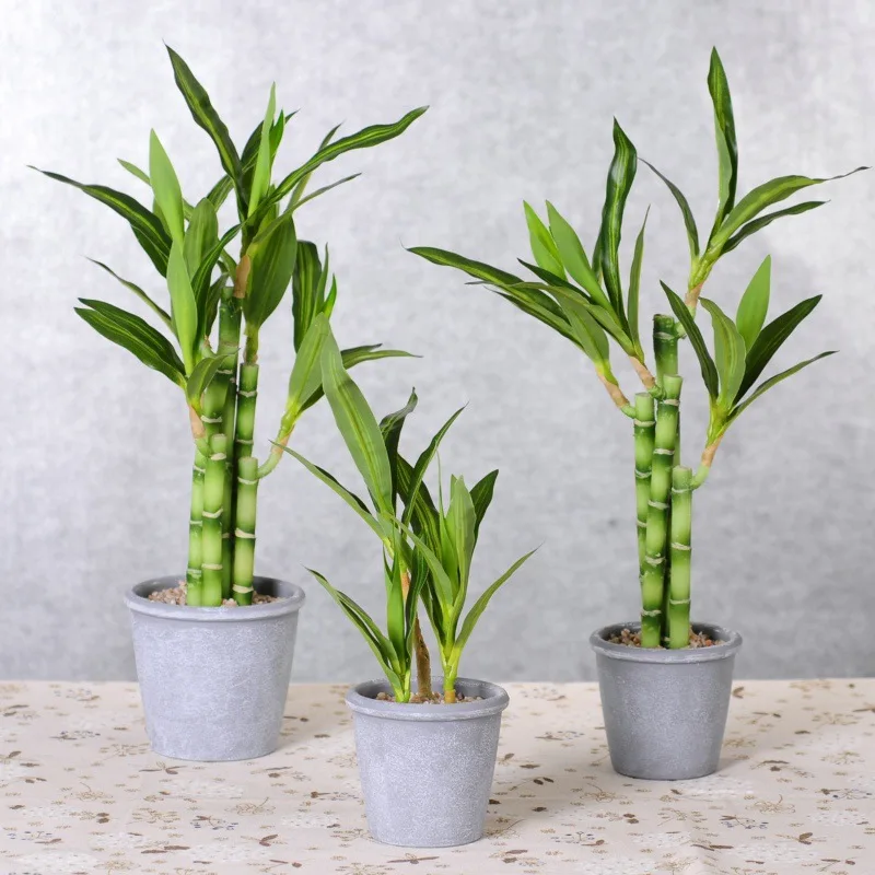 Plastic Artificial Lucky Bamboo Plants for Sale Plantas Artificiales Decoracion Plante   Simulation Crafts