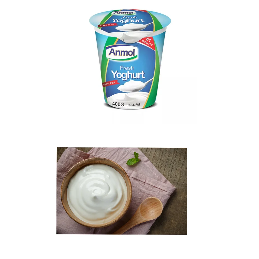 Foodies (PVT.) Limited  Yogurt Flavor Natural of Top Quality Imported from Pakistan for Everyday Usage