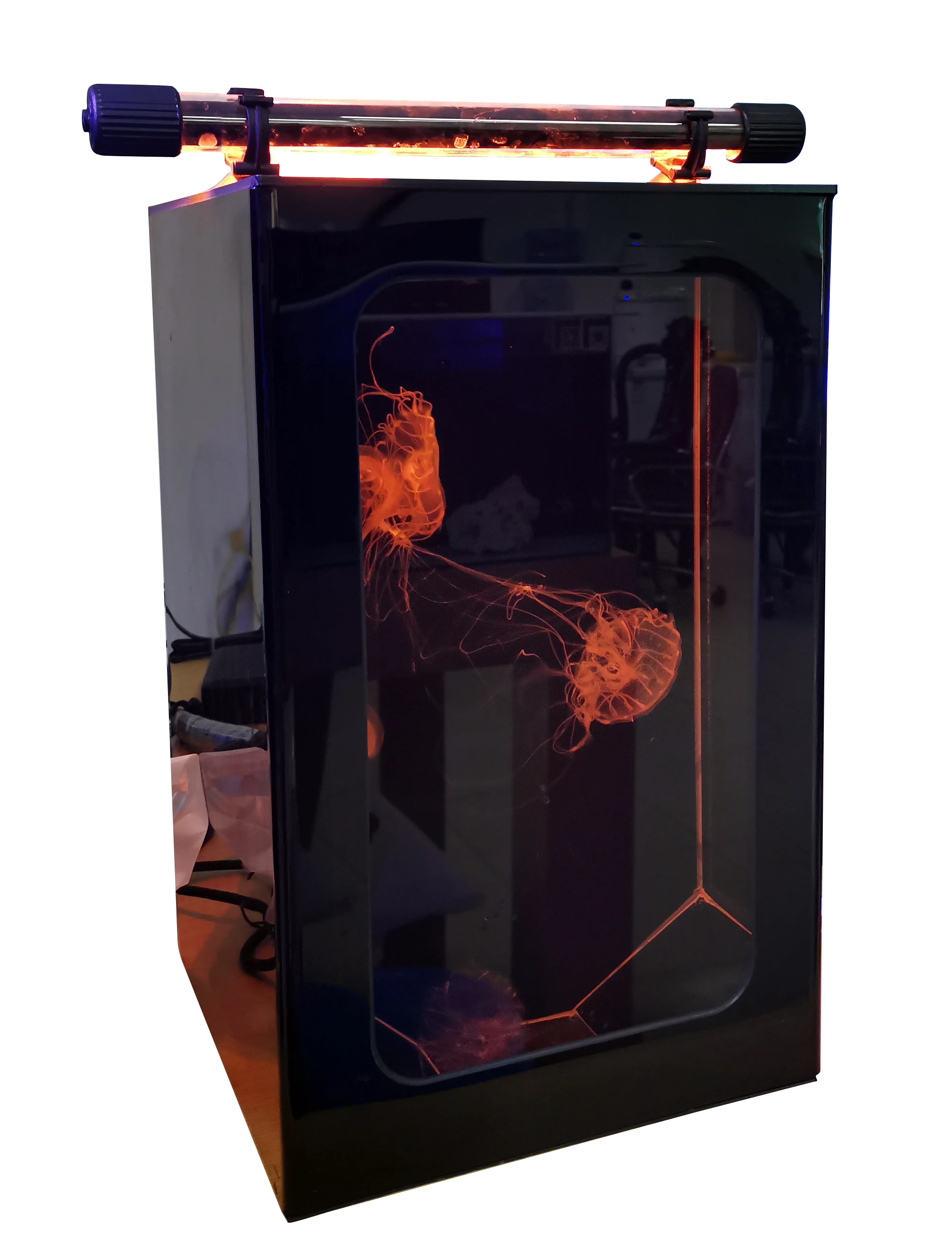 jellyfish aquarium   fish tank glass biofloc fish farming tank