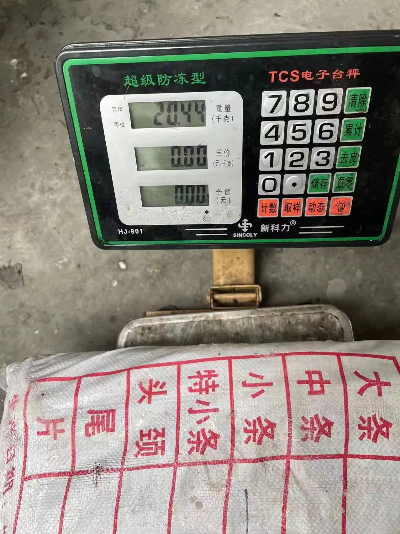 Good Quality Dosidicus Gigas Sea Frozen Giant  Whole Peru Squid