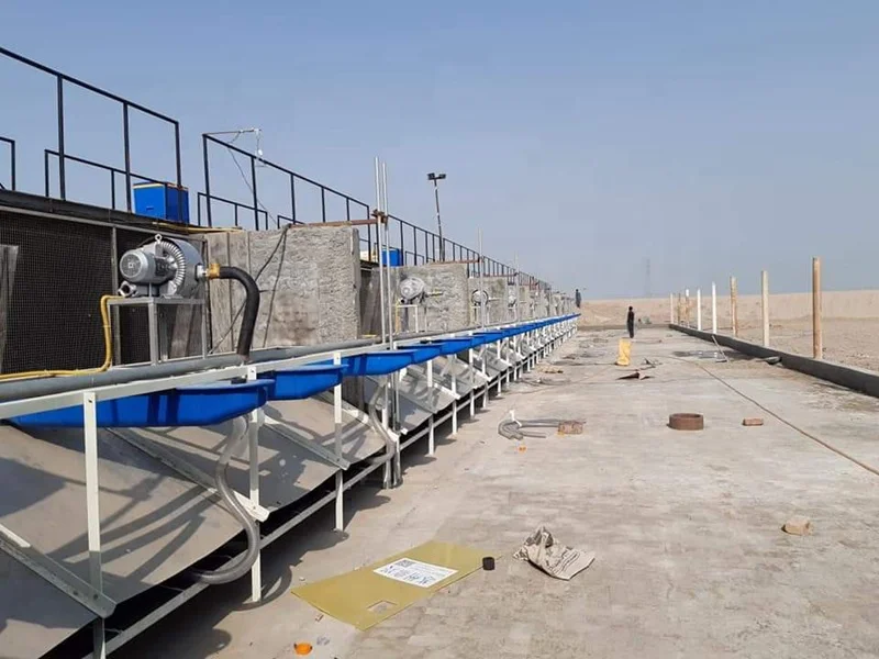 Воздуходувка для креветок/Рыбоводных ферм/кольцевой воздуходувки популярная модель из серебра высокого давления чугуна алюминия 1