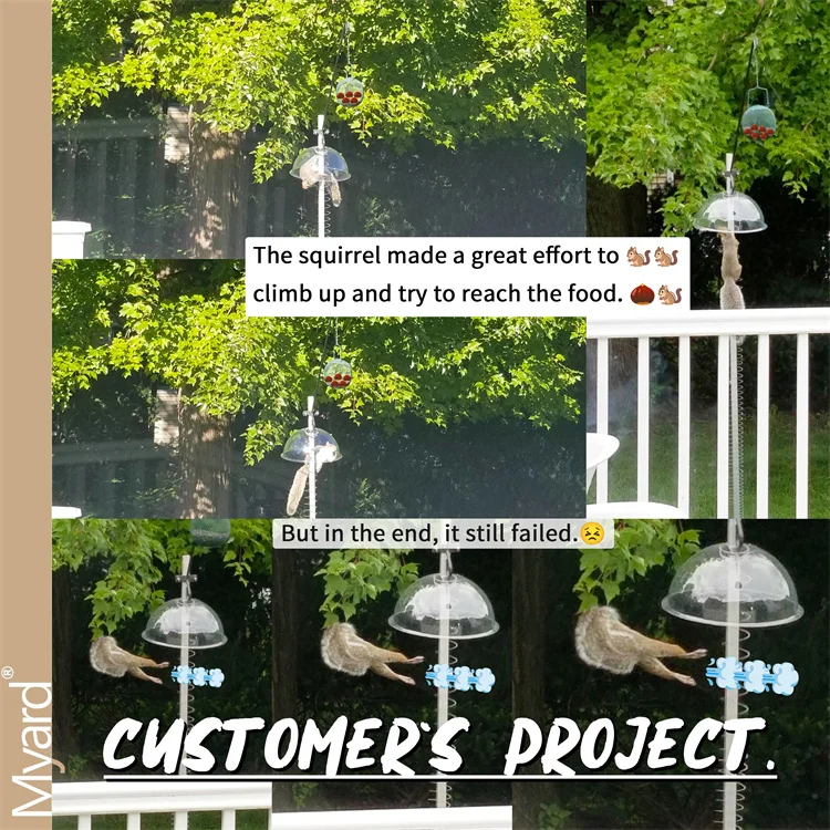 Made In Taiwan Myard 13 Inches Solid Clear PC Wobbly Squirrel Proof Baffle Deflector For Bird Feeder