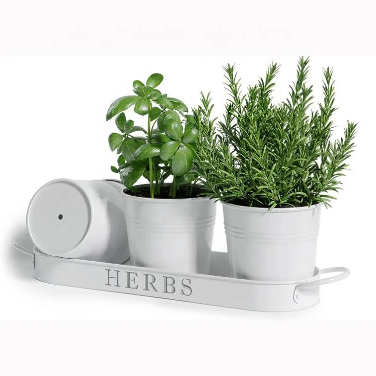 Garden Galvanized Indoor Flower Pot Set Kitchen Herb Pots Planter With Tray