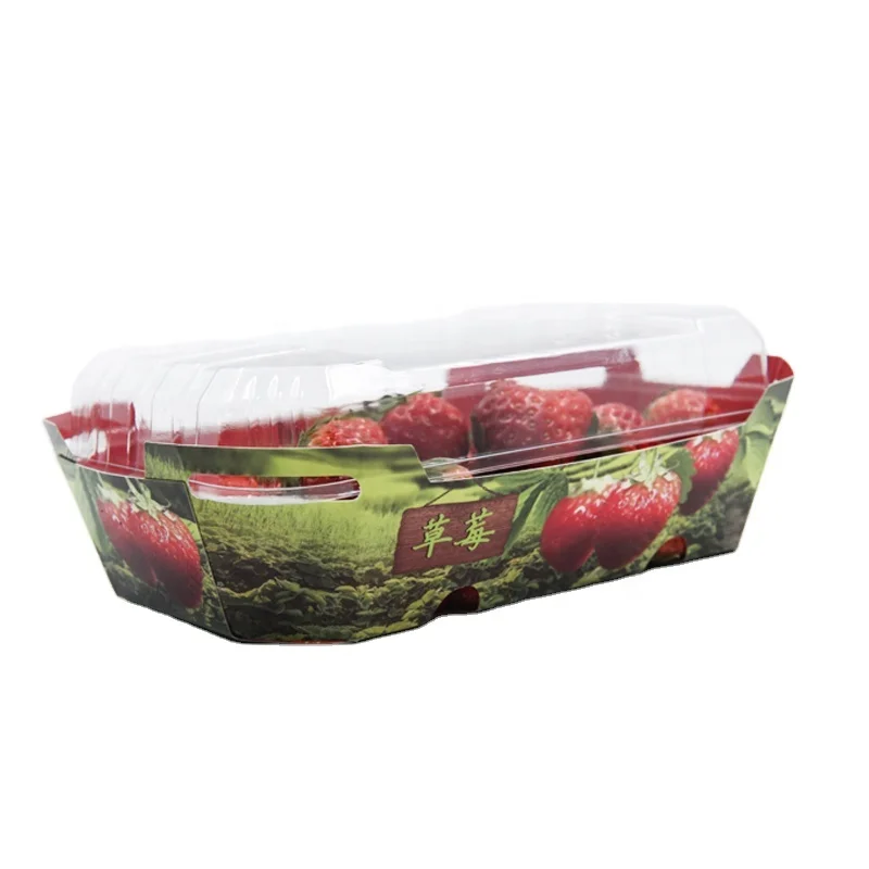 Disposable Fashion Strawberry Packaging Boxes  Cardboard  Box