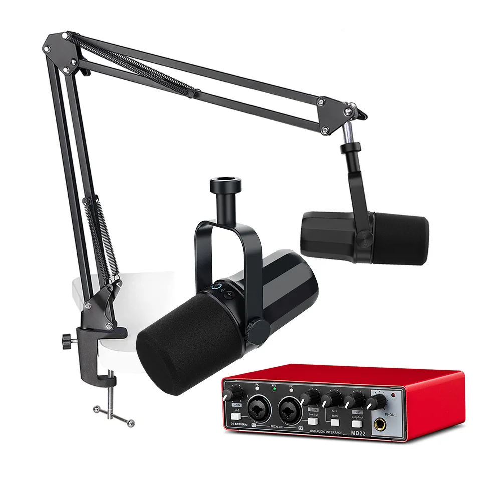 Cheap Wholesale Studio Recording Heavy Duty Microphone Set with Sound Card