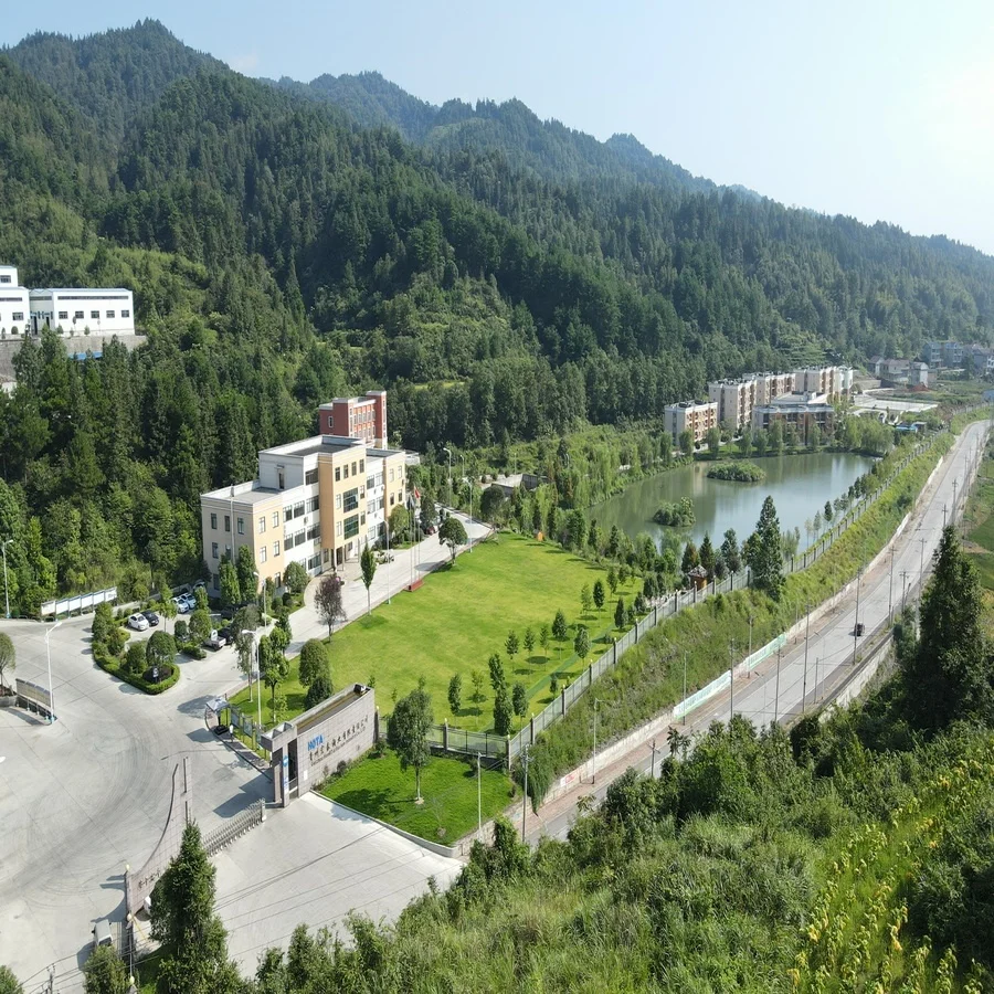 High Quality Chemical Formula Price Wholesale Barium Chloride