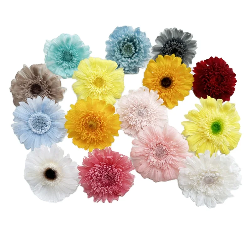 100% Natural Everlasting Preserved Gerbera Daisy Flowers For Floral arrangement
