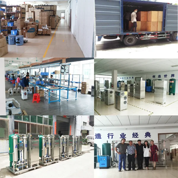 Quanju 200g/hr Air Feeding Industrial Ozone Generator for Air Purification