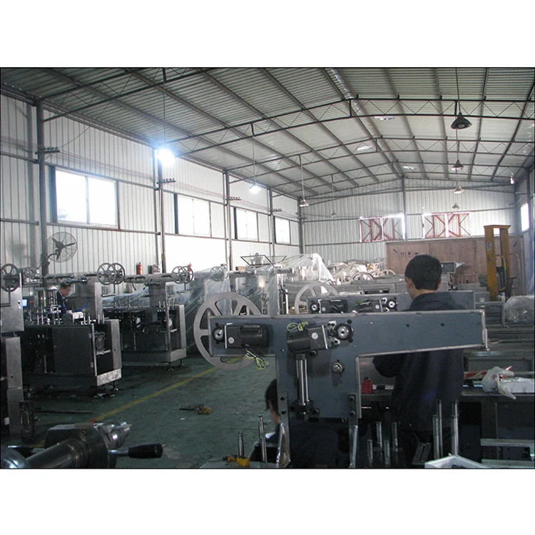 High Safety Level Automatic Capsule Blister Pack Packaging Machine