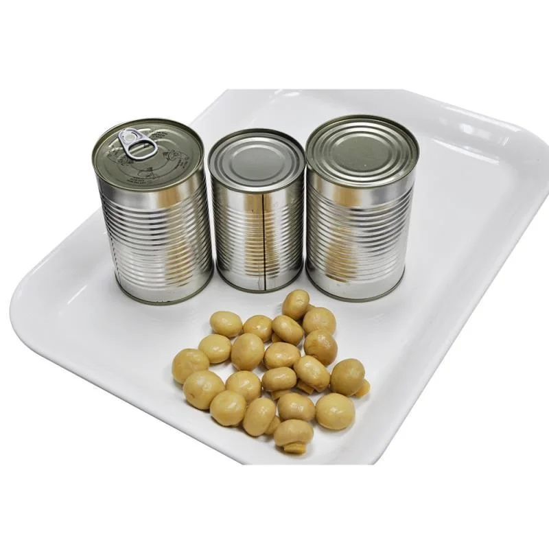 
restaurant supply canned whole Agaricus bisporus mushroom champignon mushroom 